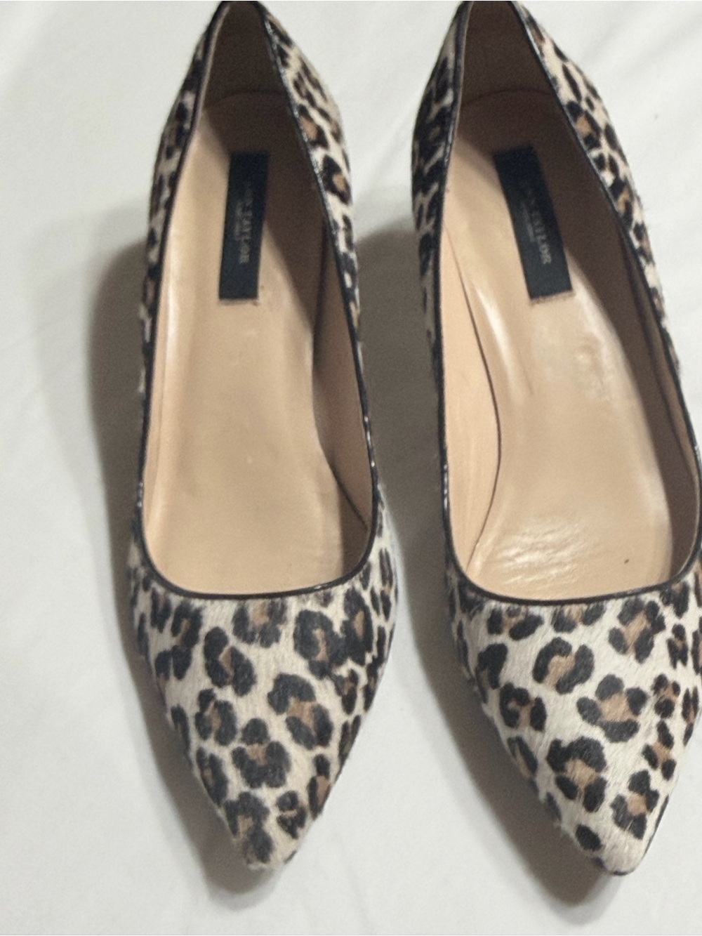 Ann Taylor Leopard-Print Pointed Toe Flats - Black, Brown, Cream - Picture 15 of 15